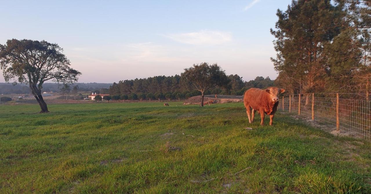 Monte Da Xara Villa Aljezur Kültér fotó