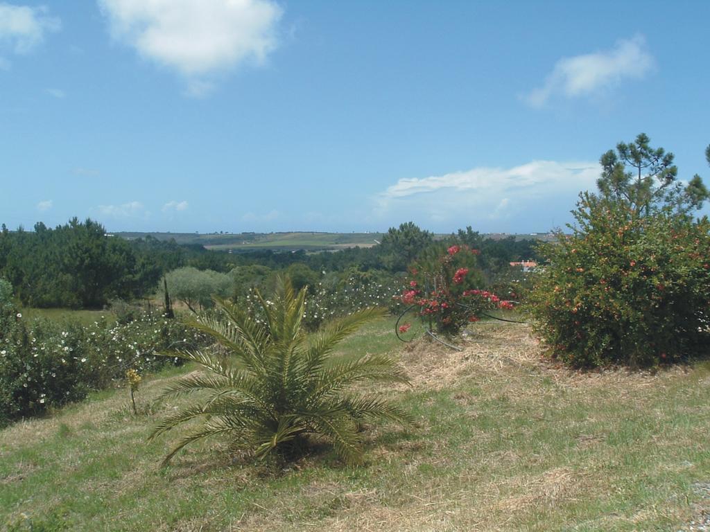 Monte Da Xara Villa Aljezur Kültér fotó