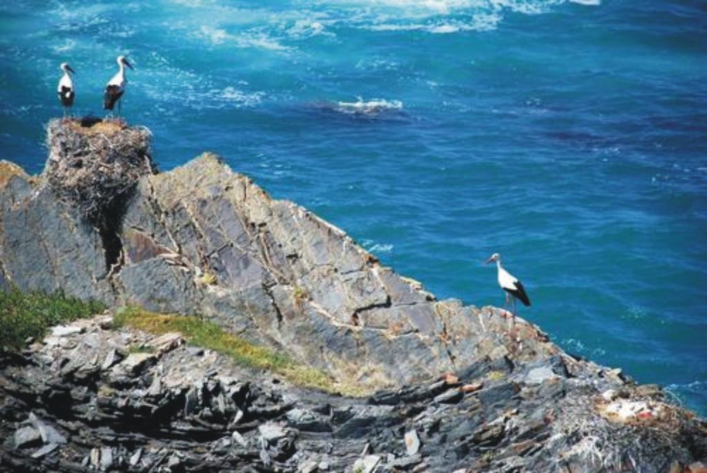 Monte Da Xara Villa Aljezur Kültér fotó